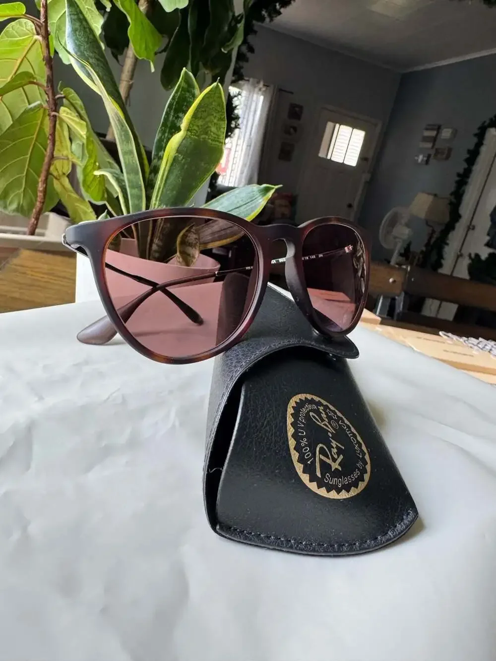Ray-Ban Junior RJ9060SF Erika Sunglasses Havana Rubber Frame